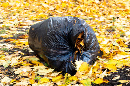 large plastic bag with garbage on autumn foliage. High quality photo