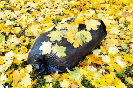 large plastic bag with garbage on autumn foliage. High quality photoの写真素材