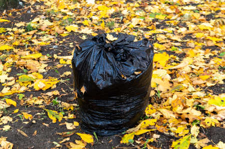 large plastic bag with garbage on autumn foliage. High quality photoの写真素材