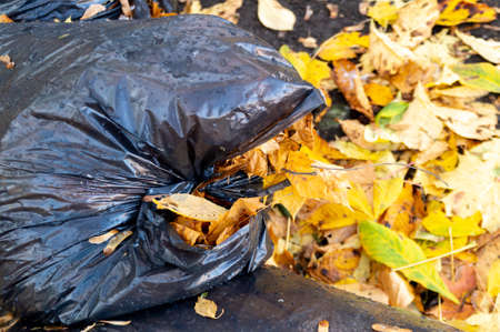large plastic bag with garbage on autumn foliage. High quality photoの写真素材