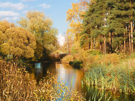 Beautiful autumn landscape. City park with a pondの写真素材