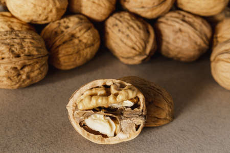 open walnut on a gray backgroundの写真素材