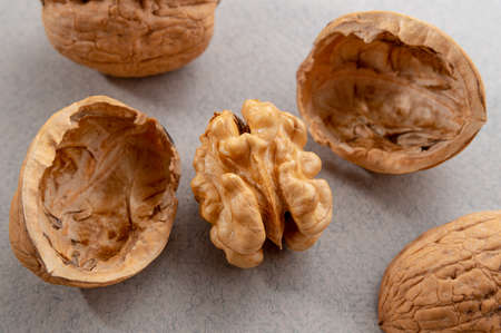 open walnut on a gray background