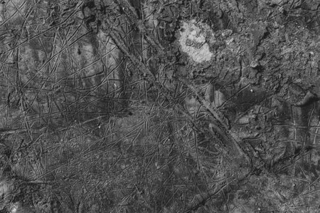 abstract black and white texture with imprints on the ground