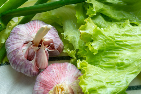 top view of garlic, lettuce and green onionsの写真素材