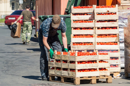 A warehouse worker picks up a box of tomatoesの写真素材