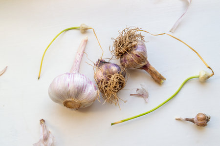 garlic heads on the table