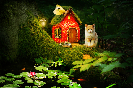 A house of strawberries of a small beautiful cat among moss under a tree in the forest and a lake with fish in the foreground.Forest collage for small children about the life of a cat in the fairy forest.の写真素材