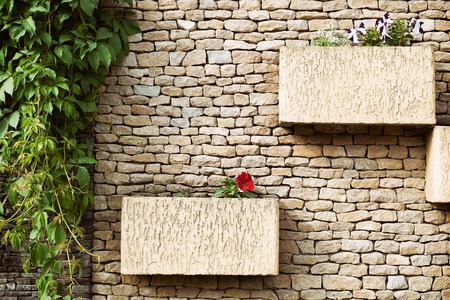 White-washed walls of rough stone with a beautiful white-pink flowers on top...の写真素材