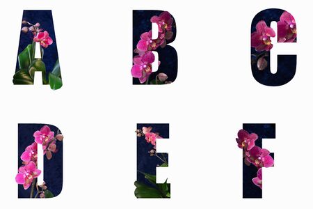 Flower font Alphabet a, b, c, d, e, f made of Real alive flowers with Precious paper cut shape of letter. Collection of brilliant flora font for your unique decoration in spring, summer & many concept ideaの写真素材