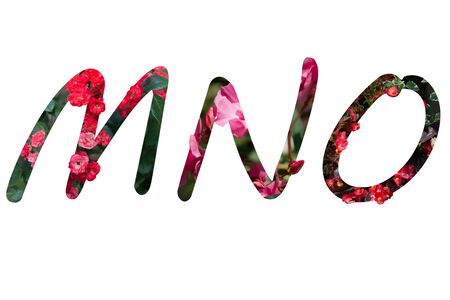 Flower font Alphabet M,N,O,made of Real alive flowers with Precious paper cut shape of letter. Collection of brilliant flora font for your unique decoration in spring, summer and many concept ideaの写真素材