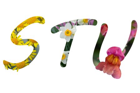 Flower font Alphabet S,T,U,made of Real alive flowers with Precious paper cut shape of letter. Collection of brilliant flora font for your unique decoration in spring, summer and many concept ideaの写真素材