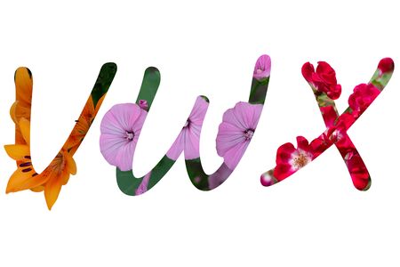 Flower font Alphabet V,W,X,made of Real alive flowers with Precious paper cut shape of letter. Collection of brilliant flora font for your unique decoration in spring, summer and many concept ideaの写真素材