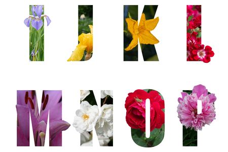 Flower font Alphabet i,j,k,l,m,n,o,p made of Real alive flowers with Precious paper cut shape of letter. Collection of brilliant flora font for your unique decoration in spring, concept ideaの写真素材