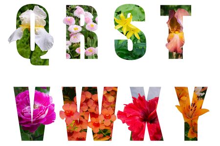 Flower font Alphabet q,r,s,t,v,w,x,z made of Real alive flowers with Precious paper cut shape of letter. Collection of brilliant flora font for your unique decoration in spring, concept ideaの写真素材