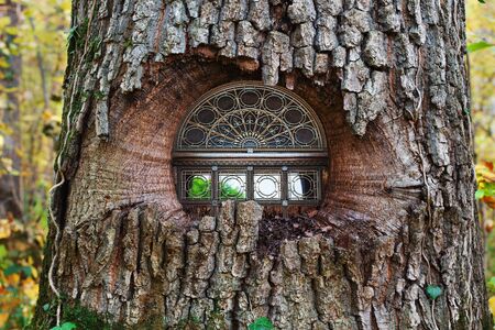 A beautiful arched antique window with wooden patterns and forged bars embedded in a tree trunk in the forestの写真素材