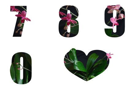 Flower font 7,8,9,0 made of Real alive flowers with Precious paper cut shape of letter. Collection...