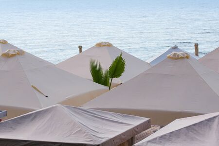Leaves of a palm tree are visible among fabric umbrellas vacationers on the beach of the ocean coast.の写真素材