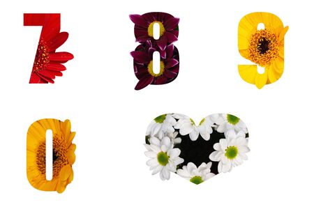 Flower font Numbers 7 8 9 0 made of Real alive flowers with Precious paper cut shape of letter. Collection of brilliant flora font for your unique decoration in spring, summer many concept ideaの写真素材