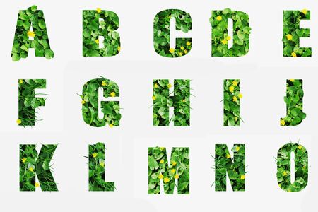 Letters A B C D E F G H I J K L M N O made of green grass isolated on white.Letters from green vegetation with blades of grass and flowers giving volume to the shapes.の写真素材