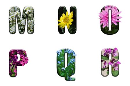 Flower font Alphabet m n o p q r made of Real alive flowers with Precious paper cut shape of letter. Collection of brilliant flora font for your unique decoration in spring, summerの写真素材