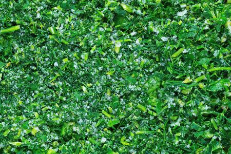 Fresh frozen parsley and dill with ice crystals for use in cooking
