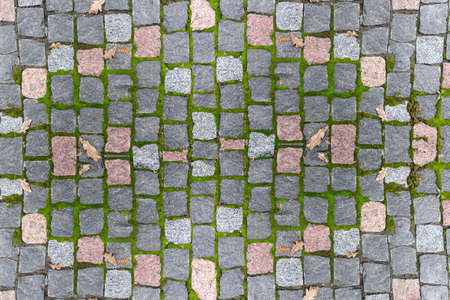 Gray paving stones on the pavement overgrown with moss with top view. Old gray pavement background