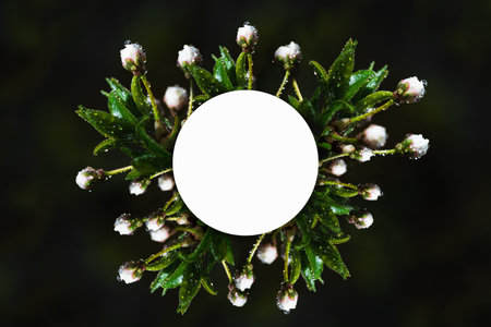 Spring preparation of a letterhead for a designer with a steep borderの写真素材