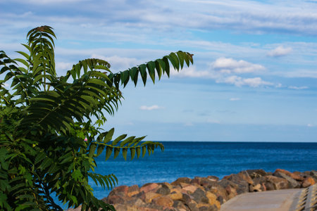Seascape with a view from the coast for walkingの写真素材