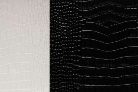 Freshwater crocodile bone skin texture background.White and black crocodile skinの写真素材