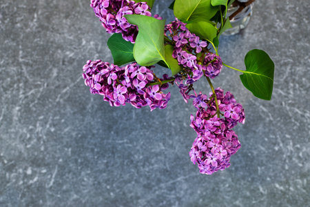 Branches of lilac flowers on a kitchen countertop in Antique gray graniteの写真素材
