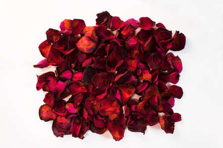 Dry red petals scattered on a white surfaceの写真素材