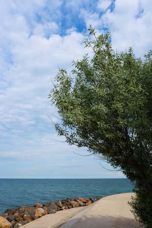 Beautiful view on old fort standing on cliff at sea at sunny dayの写真素材