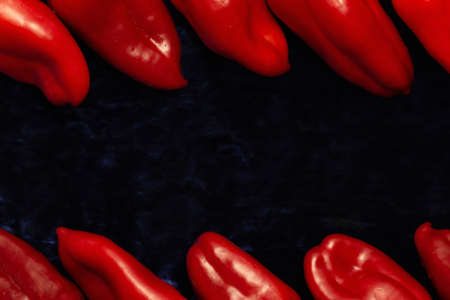 Red Sweet Pepper Border with Dark Background and Copy Space