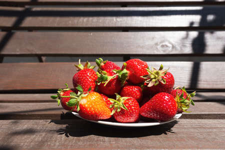 Fresh ripe picked and washed strawberries in a white plate on a plank bench in the gardenの写真素材
