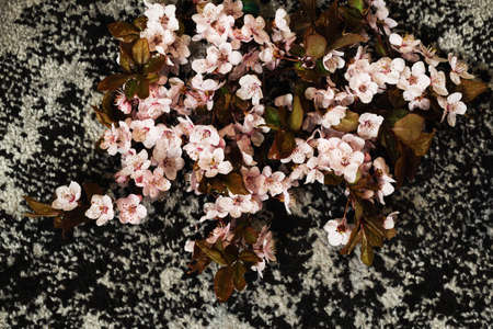 Twigs with pink flowers on an abstract background top view