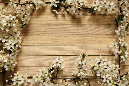 Floral frame with cherry blossom border with wooden plank backing. Spring frame for design and text...