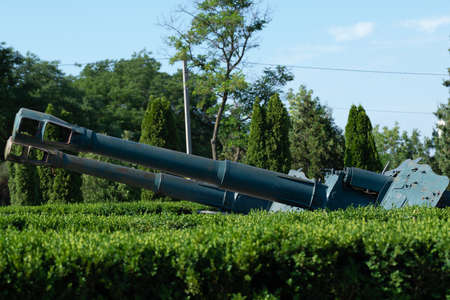 Guns in the bushes. Weapons of the times of the Great Patriotic War among the thickets in the open...