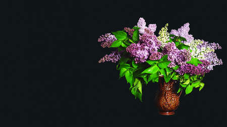 Still life with flowering lilac branches in a jug with a black background and space for text and...