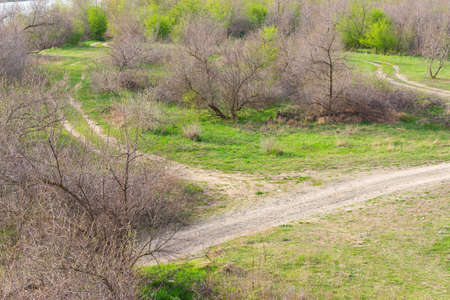 winding dirt road among bushes and treesの写真素材
