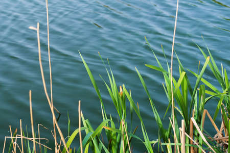 Landscape from the shore of a blue lakeの写真素材