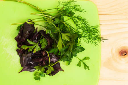 Fresh greens of spicy herbs on a cutting board for cookingの写真素材