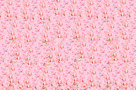Creative pattern of bright pink orchid flowers. Trendy and trendy design concept. natural cosmetic...