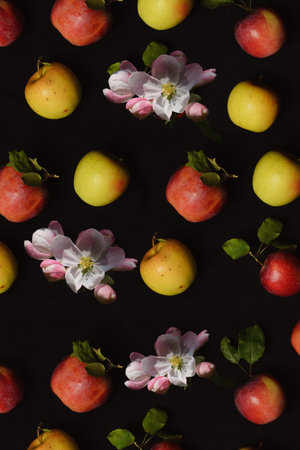 Fresh apples of red, yellow varieties and flowers of an apple tree on a black surface and with a top...