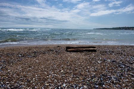 Sea with small waves and a shore with a log on a sunny summer dayの写真素材