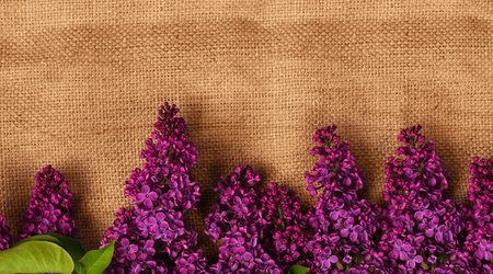 lBurgundy ilac flowers on a rustic tableclothの写真素材