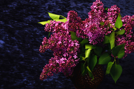 Bouquet of lilacs in a vase with studio lightingの写真素材