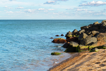 A wild place to relax on the Black Sea coastの写真素材