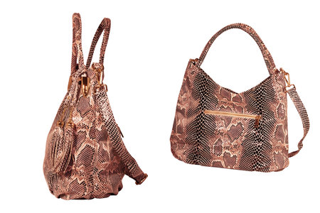 Isolate of a fashionable handbag with imitation of python skinの写真素材