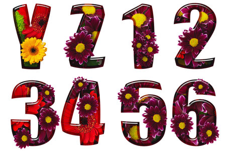 Floral letters and numbers made from different colors of flowersの写真素材
